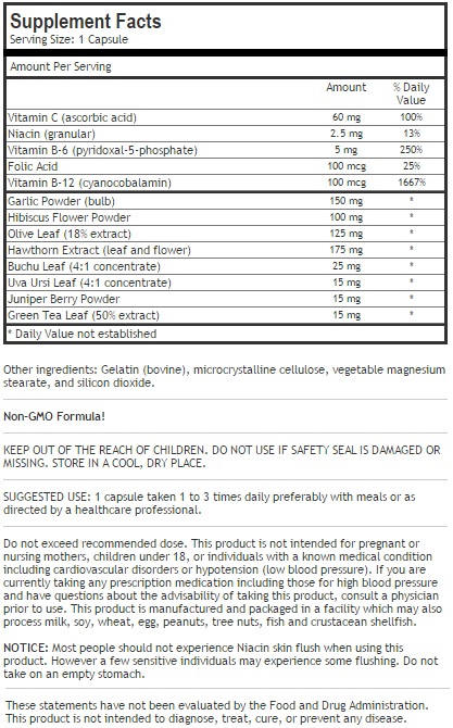 Blood Pressure Support